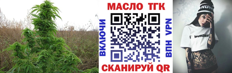 Купить где  Ленинградская  Дистиллят ТГК концентрат 
